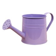 FEISHENTT Metal Watering Can for Outdoor Plants, Galvanized Steel Watering Can with Removable spout