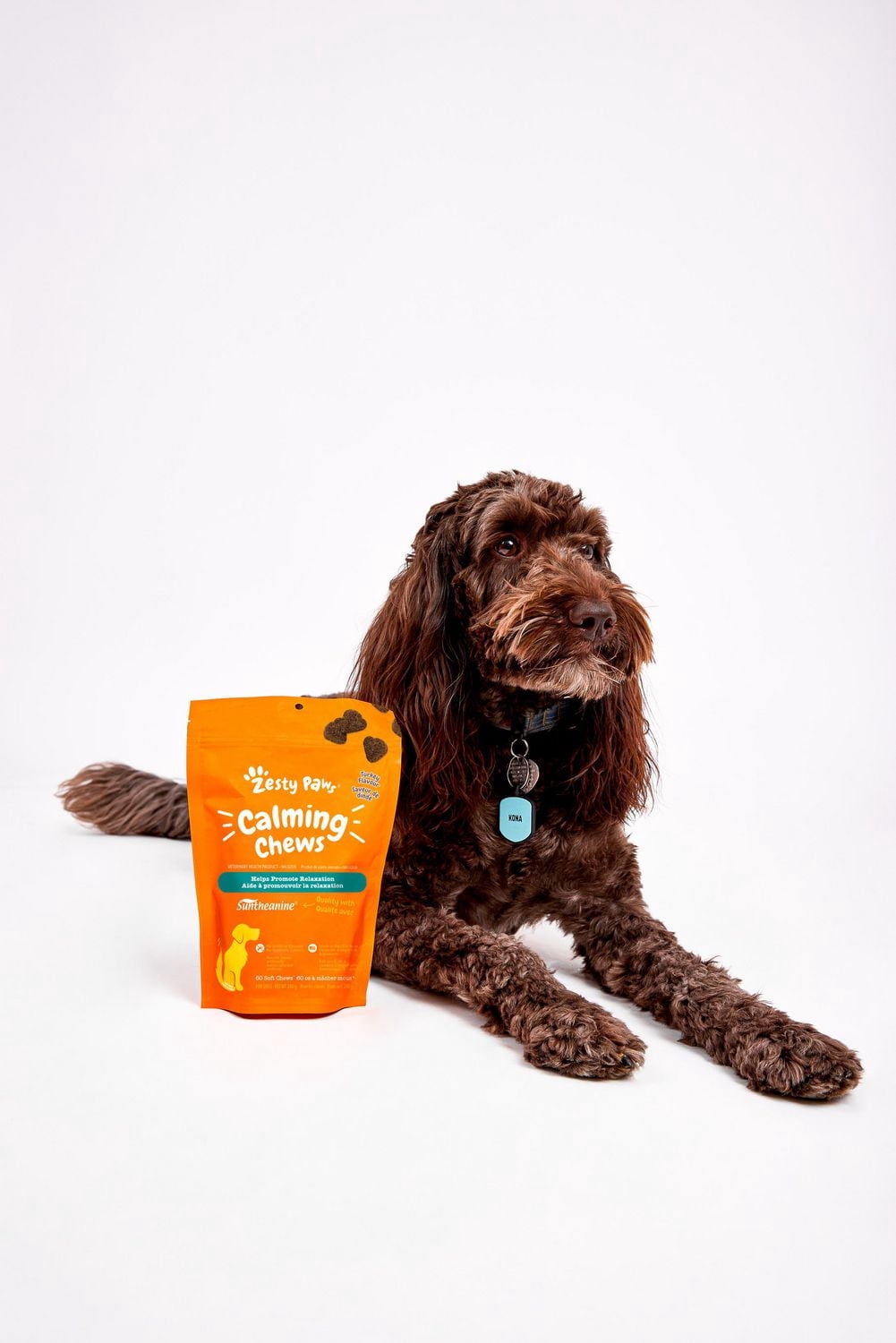 Zesty Paws Calming Chews, Suppléments pour chiens à saveur de dinde, 60 ct