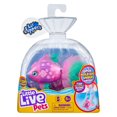 thumbnail image 1 of Little Live Pets Lil' Dippers Single Pack - Jewelette, 1 of 4