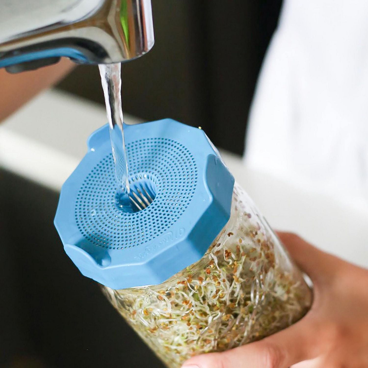 Masontops® Bean Screen Sprouting Kit