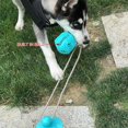 thumbnail image 3 of Jouet pour Chien en Forme de Dent de Ventouse, Jouet Interactif Résistant aux Morsures et aux Fuites, 3 of 6