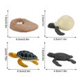 thumbnail image 2 of Plastic Animals Figures 4 Piece Insect Figure Animal Life Cycle Plastic Brood to Mature Period, 2 of 3