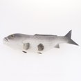 thumbnail image 4 of GUOOL Lifelike Artificial Carp Ornament for Home Kitchen Aquarium Decoration Grey-Big, 4 of 5