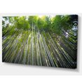 thumbnail image 2 of Design Art - Bamboo forest of Kyoto Japan., 2 of 3
