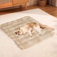 thumbnail image 4 of Lisbinx Soft Fleece Pet Mat | Kneading Pad & Sleeping Blanket for Dogs | Portable Foldable Bed Pad | 40X30Cm | Machine Washable, 4 of 5