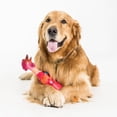 thumbnail image 5 of Jouet poulet de latex pour chien, 5 of 5