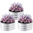 thumbnail image 2 of Royalbelle Set of 3 Primary Color Round Galvanized Raised Garden Beds, 2 of 6
