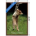 thumbnail image 3 of Célèbre chaton accroché là-bas Poster, 3 of 5