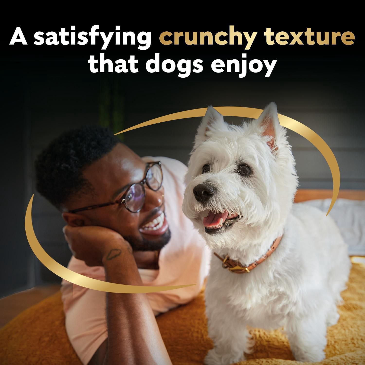 Gâteries pour chiens CESAR BAKIES, petits chiens adultes, saveur de contre-filet