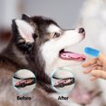 thumbnail image 3 of TIELUTT Kit de Brosse à Dents pour Chien Brosse à Dents pour Doigts pour Chiens Brosse à Dents pour Doigts pour Chien Accessoires pour Chien pour Chiots Accessoires Anglais Accessoires pour Élevage de Chiens Accessoires pour Toilettage Labradoodle Access, 3 of 3