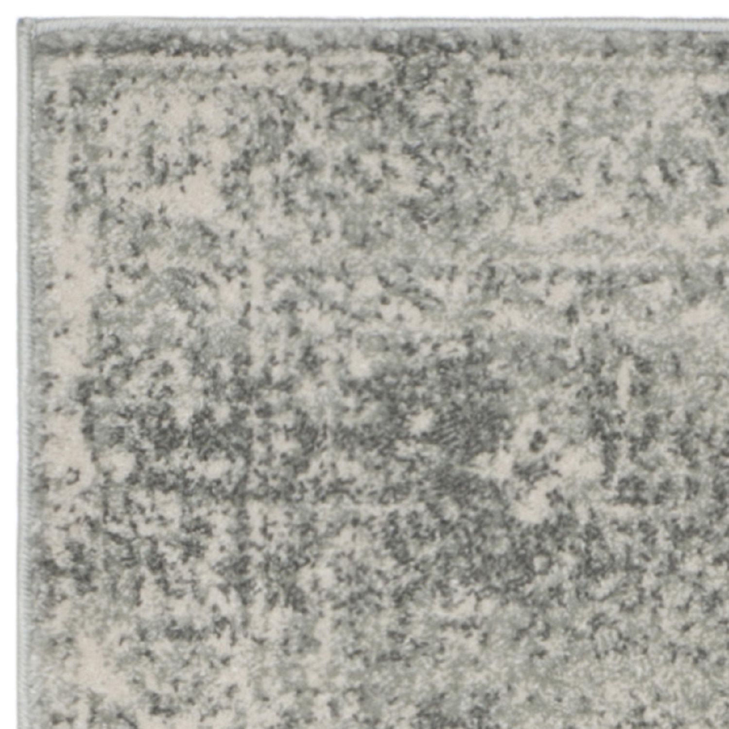 Safavieh Evoke Denica Tapis Traditionnel