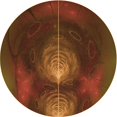 thumbnail image 1 of Ahgly Company Machine Washable Indoor Square Transitional Mahogany Brown Area Rugs, 3' Square, 1 of 7