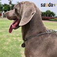 thumbnail image 3 of Collier Premium en Acier Inoxydable, Collier Étrangleur Solide, Durable, Résistant aux Intempéries, Chaîne en Métal Résistante au Ternissement, Collier d'Entraînement pour Chien Anti-Traction, 3 of 7
