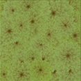 thumbnail image 1 of Ahgly Tapis d'Intérieur Lavable en Machine Carré Vert Pistache Transitionnel, 4 Pieds Carré, 1 of 7