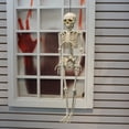 thumbnail image 4 of Way to Celebrate Halloween Decoration Hanging Posable Bone Color Plastic Skeleton 16in, 4 of 6