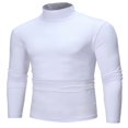 thumbnail image 3 of Chandail à Col Roulé pour Hommes, Tricoté, Haut, Chandail, 3 of 5