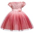 thumbnail image 1 of HAWEE Girls Boutique Princess Lace Flower Dress Wedding Pageant Party Ball Gown, 1 of 7