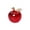 Rouge, variante sur Tyidzon Décoration de Pommes en Cristal de Noël Pommes en Cristal Cadeau de la Veille de Noël Ornement de Pommes Décoration de Maison de Noël de Collection