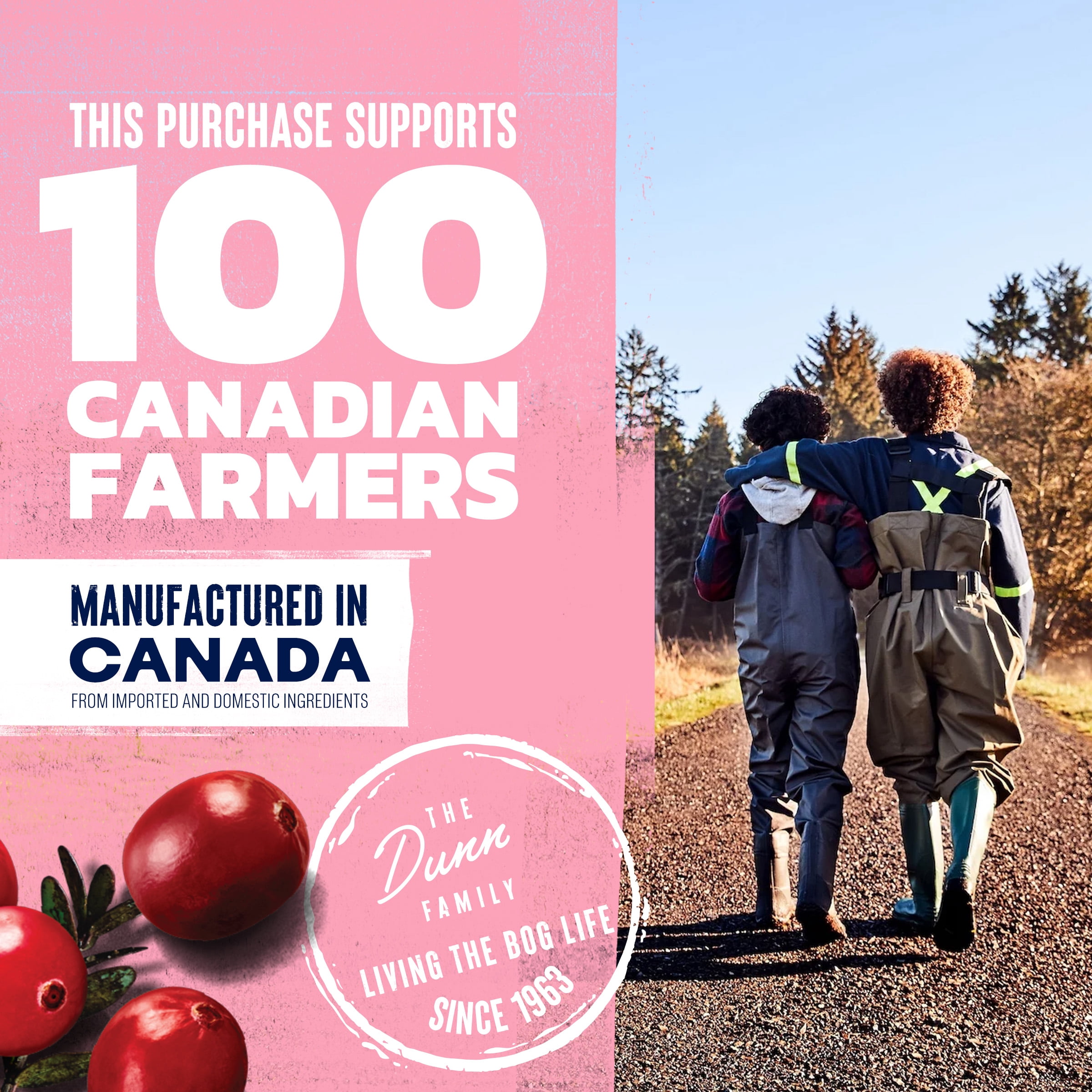 Ocean Spray boisson pétillante rose 6 canettes. Une explosion de bulles fruitées. Le goût rafraîchissant des canneberges roses, blanches et rouges mêlé à des bulles. Sans allergènes. Recyclable.