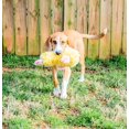thumbnail image 2 of Jouet pour chien Multipet Plush Ultimate Duck, 2 of 8