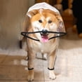 thumbnail image 1 of Dog Raincoat Dog Clothes Transparent Raincoat Light Waterproof Coat Small Dog Raincoat, 1 of 12