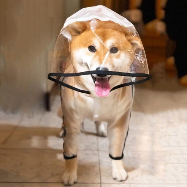Dog Raincoat Dog Clothes Transparent Raincoat Light Waterproof Coat Small Dog Raincoat