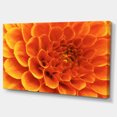 thumbnail image 2 of Large Orange Flower and Petals - Floral Canvas Art Print, 2 of 3