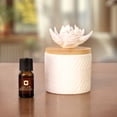 thumbnail image 2 of ScentSationals 100% Essential Oil - Comfort, 2 of 8