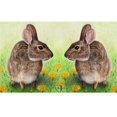 thumbnail image 1 of Betsy Drake DM053 Tapis de Porte pour Lapins de 18 x 26 Po, 1 of 1