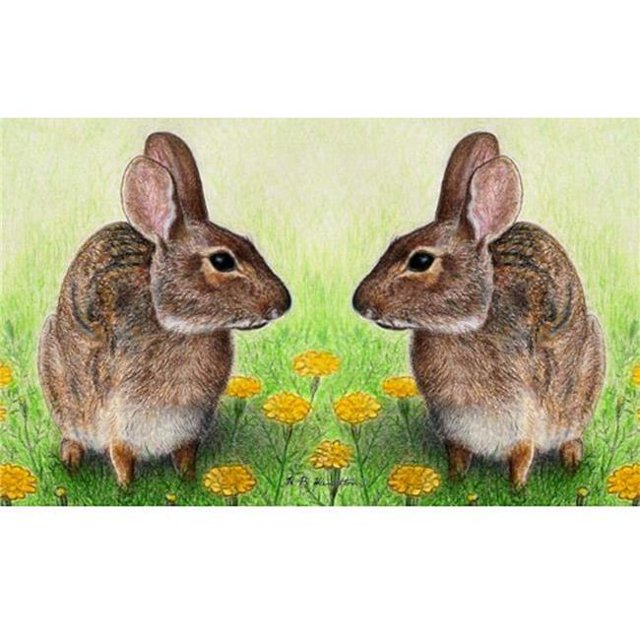 Betsy Drake DM053 Tapis de Porte pour Lapins de 18 x 26 Po