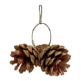 thumbnail image 2 of Birdeem Toy Pinecone Soothing Supplies, 2 of 9