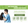 thumbnail image 4 of Liquid-Vet Bien-Être Articulaire Glucosamine à Action Rapide pour Chiens – Saveur de Poulet, Supplément pour la Santé des Articulations, 16 oz, 4 of 8