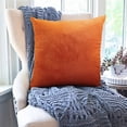 thumbnail image 3 of Dvruxg Velvet Throw Pillow Covers 16x16 Inch - Soft Square Decorative Cushion Cover for Couch, Sofa, 3 of 5