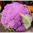 thumbnail image 1 of GSDWIUEW Chou-Fleur Violet Chou Patrimonial Légume pour la Plantation, 1 of 8