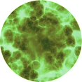 thumbnail image 1 of Ahgly Company Tapis de Zone Rond Vert Transitionnel pour Intérieur Lavable à la Machine, 3 Pieds Rond, 1 of 7