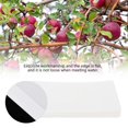 thumbnail image 4 of Sac de Protection des Fruits, Sac de Protection des Raisins Parchemin Pratique pour la Pollinisation pour Protéger les Plantes, 4 of 8