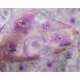thumbnail image 4 of oneOone Silk Tabby Fabric Watercolor Floral Decor Fabric Printed BTY 42 Inch Wide, 4 of 4