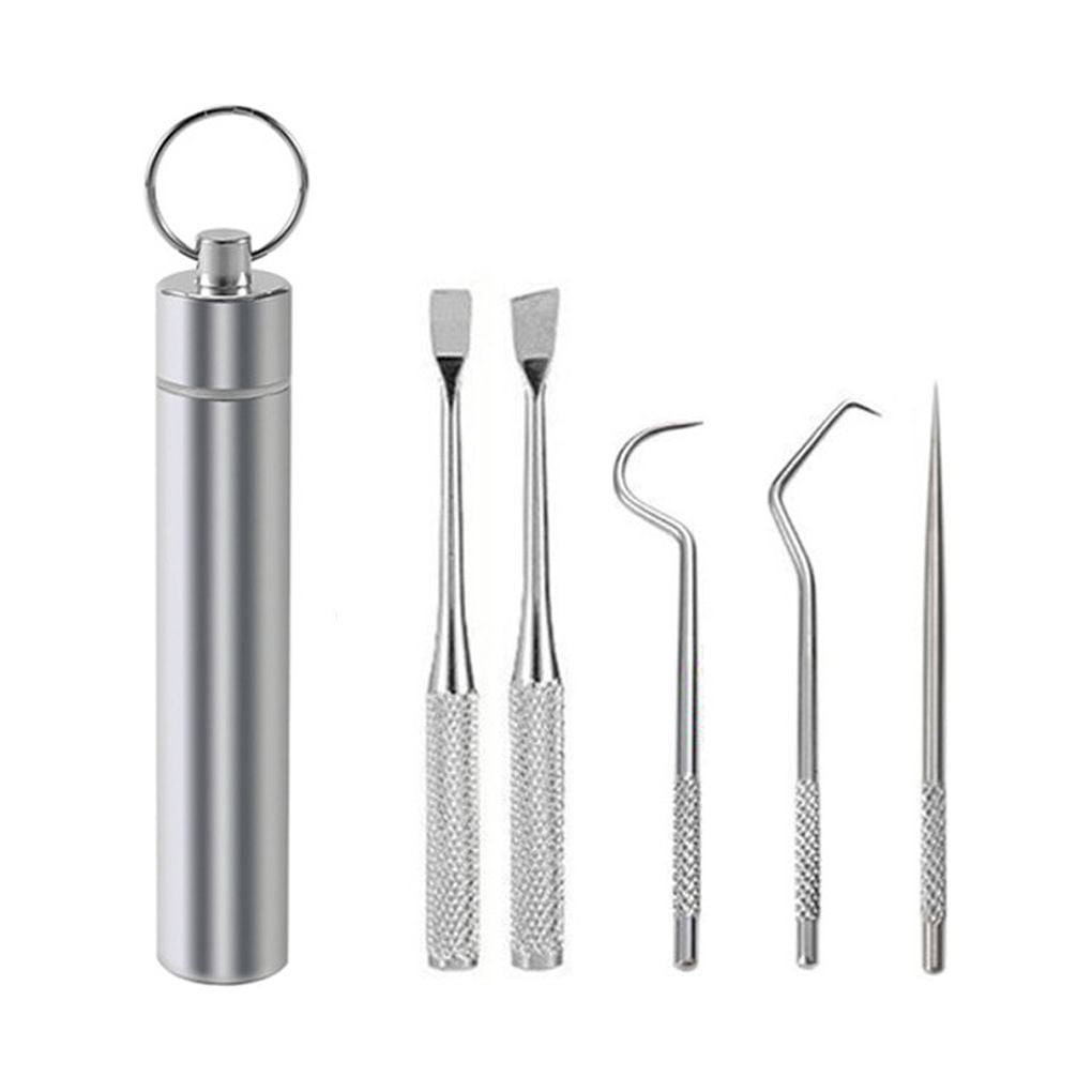 tredstone Toothpick Travel Tooth Cleaning Pick Barbecue Fruit Fork Reusable Washable Multifunctional Teeth Flossing Flosser with Holder 5PCS