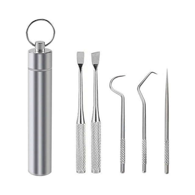 tredstone Toothpick Travel Tooth Cleaning Pick Barbecue Fruit Fork Reusable Washable Multifunctional Teeth Flossing Flosser with Holder 5PCS