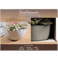 thumbnail image 2 of ScentSationals, Hotplate Warmer, Succulent, 2 of 4