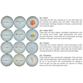 thumbnail image 3 of Golf Ball Planet - Velocity Balles de Golf Recyclées Orange pour Titleist (Lot de 24, 3A / Bon), 3 of 6