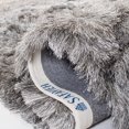 thumbnail image 2 of Safavieh Paris Darwin Plush Shag Area Rug, 2 of 7