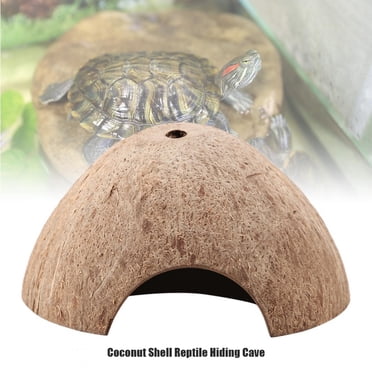Caverne pour Reptiles, Caverne Naturelle pour Tortues, Maison de Construction Robuste