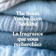 thumbnail image 3 of Yankee Candle Scented Candle, Warm Luxe Cashmere, 10 oz, Studio Collection, Up to 50 Hours of Burn Time, 3 of 7
