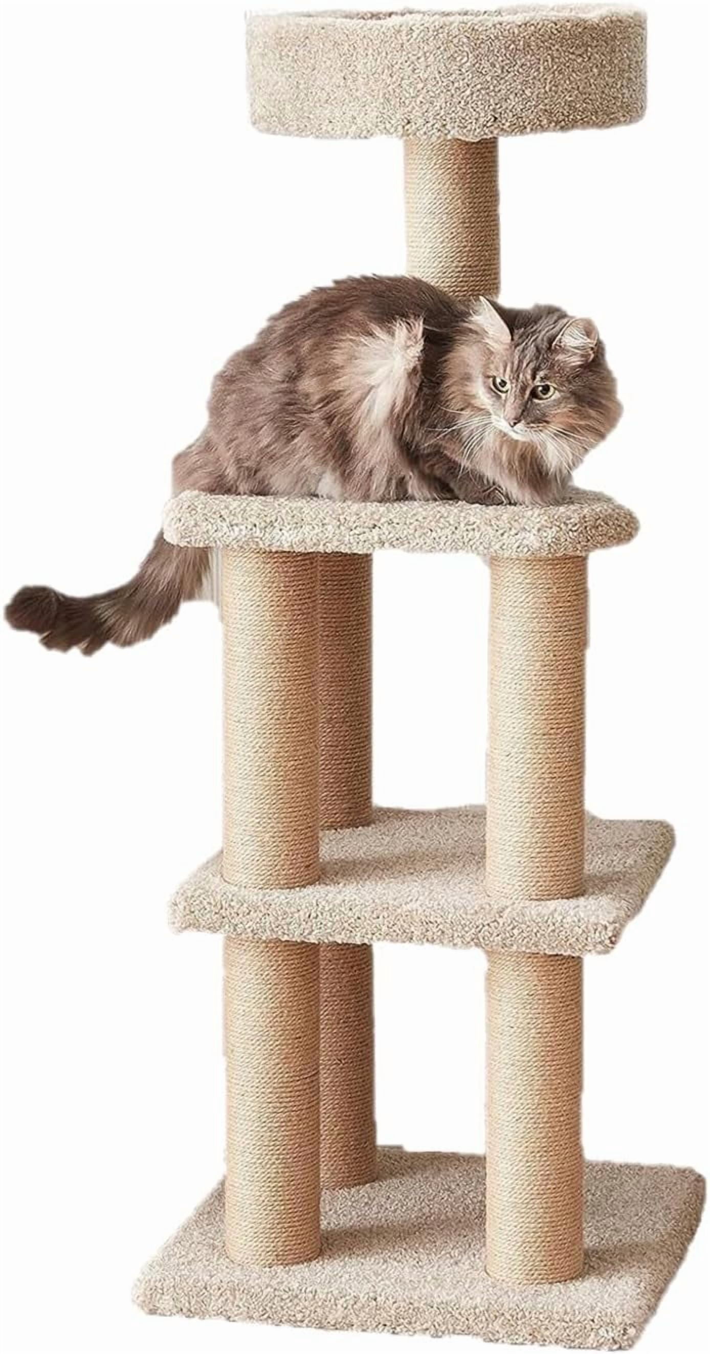 Cat Tree - Indoor Cat & Kittens Multi-Level Climbing Activity Tower with Scratching Posts Medium (.;H) -