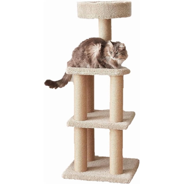 Cat Tree - Indoor Cat & Kittens Multi-Level Climbing Activity Tower with Scratching Posts Medium (.;H) -