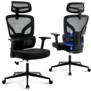 Ergonomic Mesh High-Back Office Chair with Adjustable Lumbar Support and Headrest 3D Armrests Rolling Swivel Task Chair for Home Office