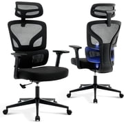 Ergonomic Office Chair, Rolling Swivel Computer Chair, High-Back Mesh Desk Chair with Lumbar Support, for Home & Office, Black