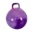 thumbnail image 4 of Milaget Jumping Ball with Handle 55cm Exercise Ball for Children Sports Hopping Ball, 4 of 9
