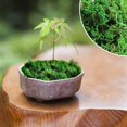 thumbnail image 4 of Fake Moss Natural Looking Easy To Care For Various Decorations Ideal For Potted Plants And Crafts, 4 of 8